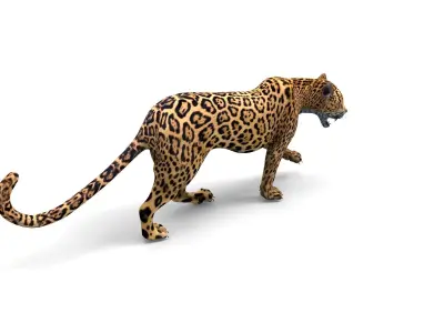 3D Leopard Rigged Model  Low-poly 3D model