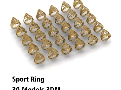 30 models of sport rings  3D model