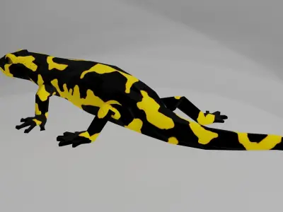 Low poly salamander lizard Low-poly 3D model