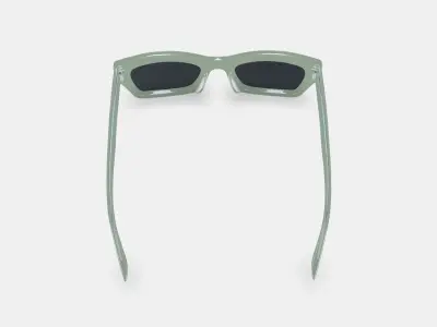 Makai Sunglasses in Aloe Crystal 3D model