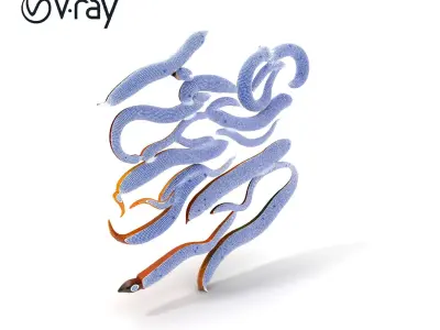 Realistic Earthworm Model Pack with HighDetail PBR Textures Low-poly 3D model