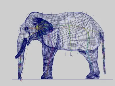 elephant 3d rig model 3D model purchase