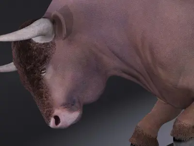 Bull rigged for 3dsmax 3D model