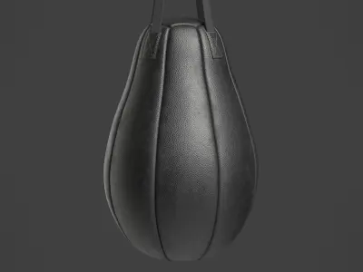 Punching Bag 1 3D model