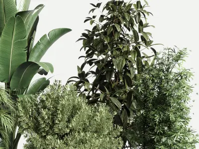  plant ficus rubbery ravenala plam bamboo metal dirt vase 3D model