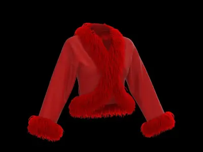 Feather jacket 3D model