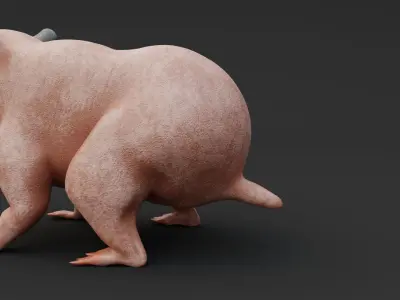 Realistic Hamster Low-poly 3D model