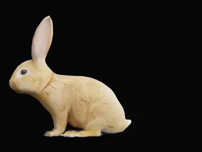 Easter Bunny Rabbit Low-poly 3D model