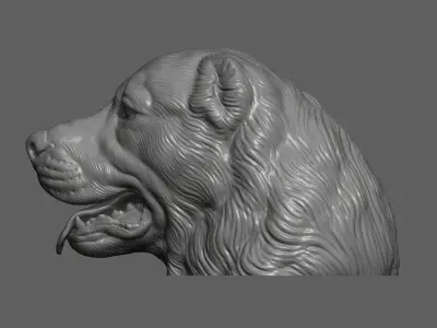 Central Asian Shepherd Dog Alabai bust 3D print model
