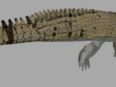 Gavial Gharial 3D model
