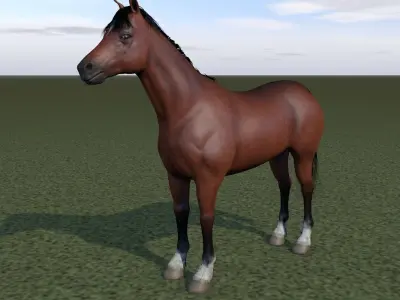 Horse rigging 3D model