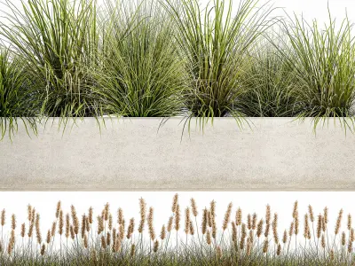 Potted reeds for landscaping 1075 3D model
