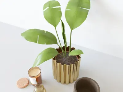 Decorationset Plant 3D model