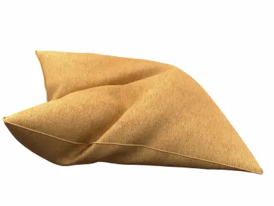 Orange Plain Pillow  3D model