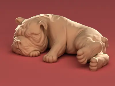 Bull dog   Low-poly 3D model