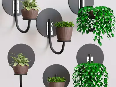 indoor collection plants 001 3D model