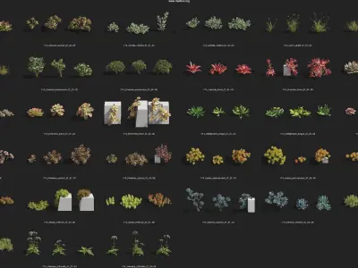 Maxtree Plant Models Vol 14 - Mesh 3D model