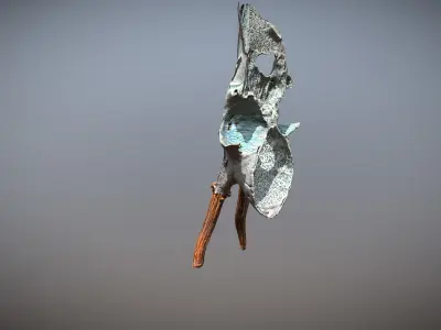 Photorealistic scanned skull with horns and markings  Low-poly 3D model