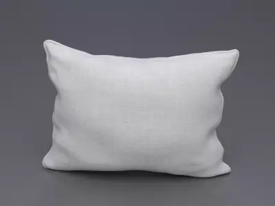 Piped Pillow 3D model