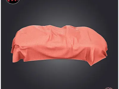 Car Cover Sport Car 3D print model