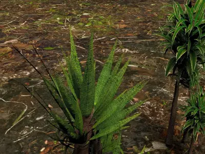 Plants 3D model