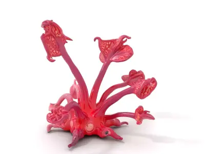 Mystical Pink Flora model pack Low-poly 3D model