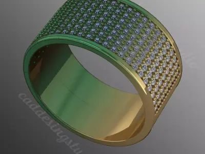 Ring bi157 3D print model