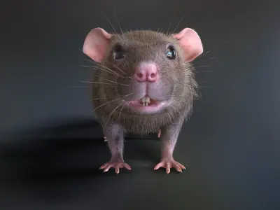 Mouse rat Low-poly 3D model