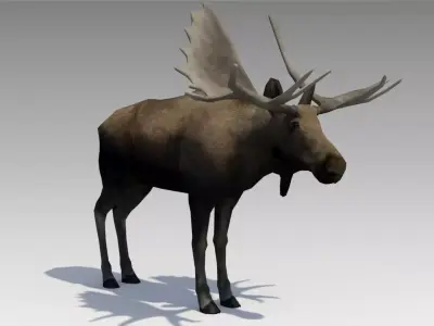 Moose Low-poly 3D model