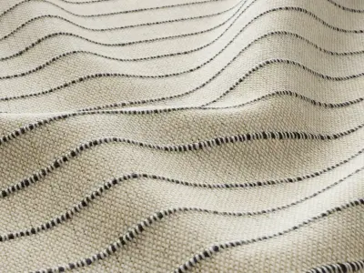 Cotton fabric 04 Texture