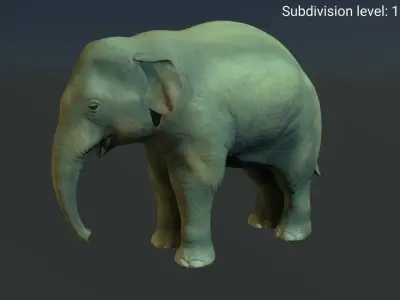 Young  asian elephant Low-poly 3D model