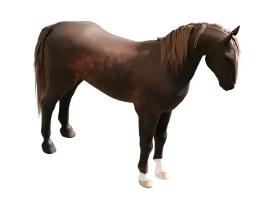 Realistic Rigged and Animated Horse 3D Model Low-poly 3D model