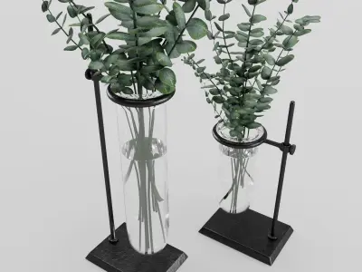 Eucalyptus In Laboratorium Jar 3D model