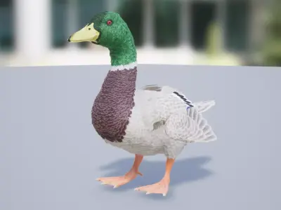 Duck Feathered Low-poly 3D model