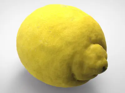 REALISTIC LEMON Low-poly 3D model