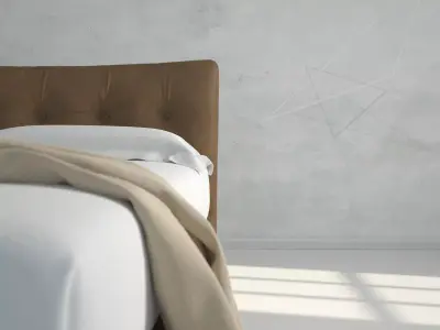 Arca Standard 3D model