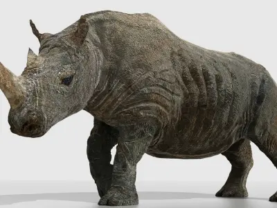 Southern White African Rhino Low-poly 3D model