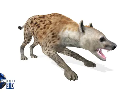 Hyena Rigged Animated Lowpoly 3D Model Low-poly 3D model