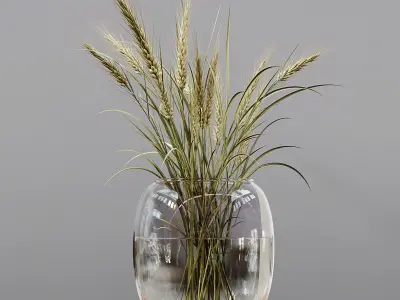 Collection Indoor Plants 03 3D model