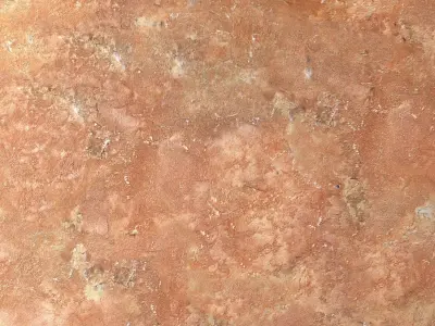 Embossed decorative plaster Texture