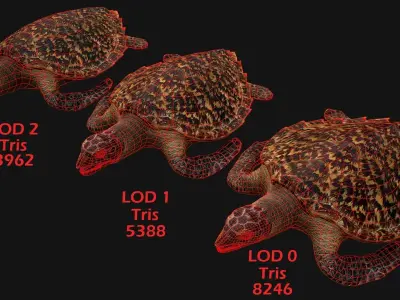 Turtle Low-poly 3D model