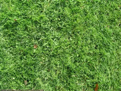 gras material Free 3D model