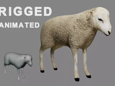 Sheep Rigged 3D model Low-poly 3D model