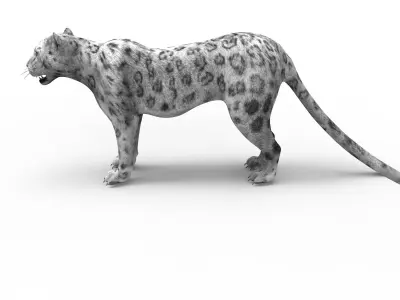 Game ready White Leopard 3D Low-poly 3D model