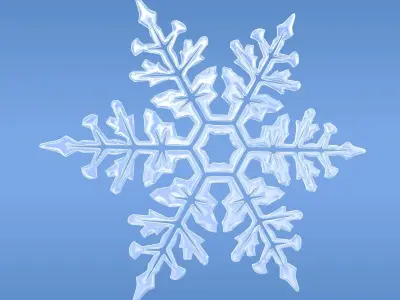 Snowflakes snowflake 3D model
