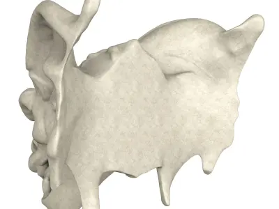 Gargoyle Head 3D model