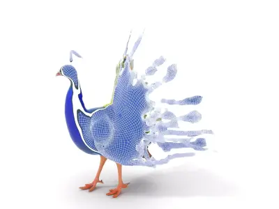Vibrant Peacock model pack Low-poly 3D model