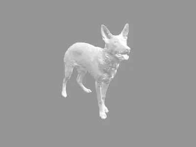 Malinois for 3d printing 3D print model 3D model 3D model