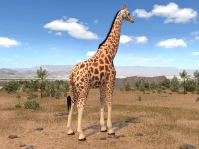 Giraffe rigged for 3dsmax 3D model
