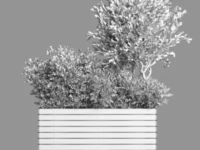 Outdoor plant 10  Low-poly 3D model